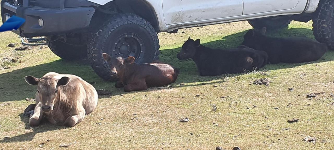 Ruby's Farm * Port Arthur