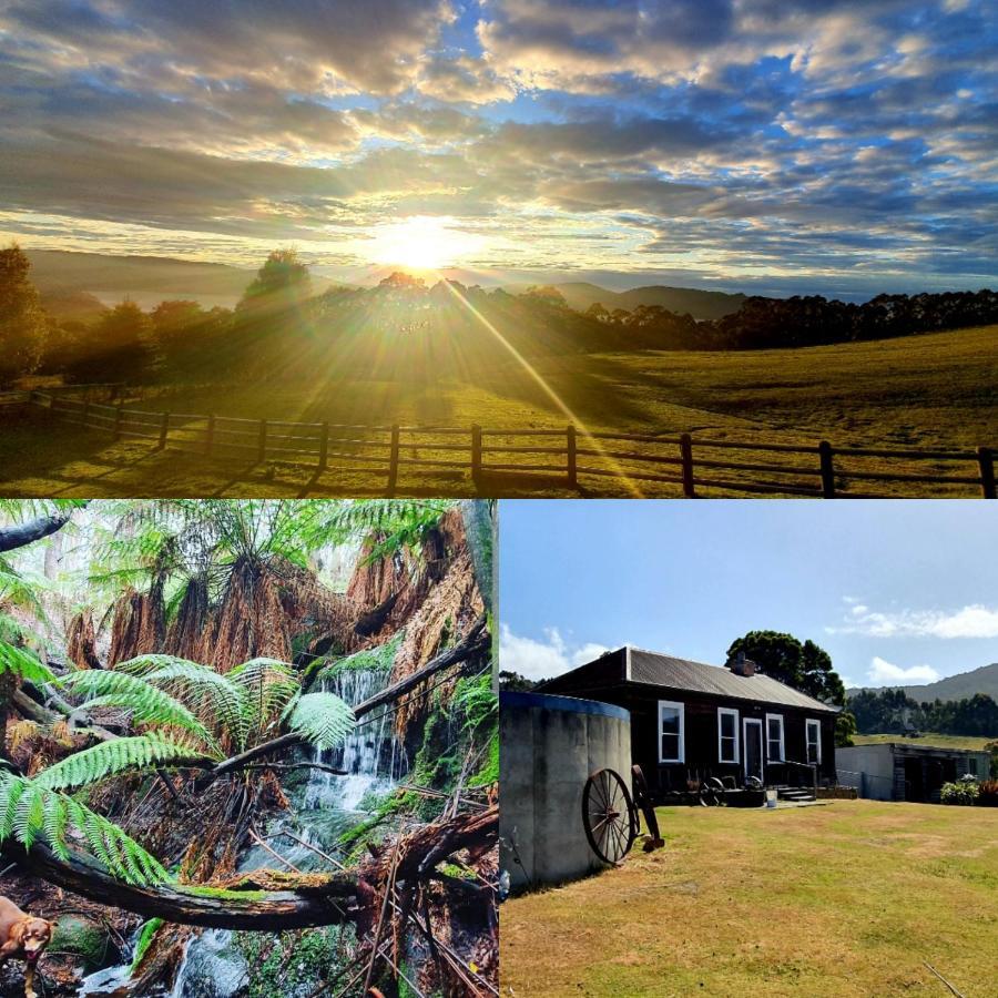Ruby's Farm * Port Arthur