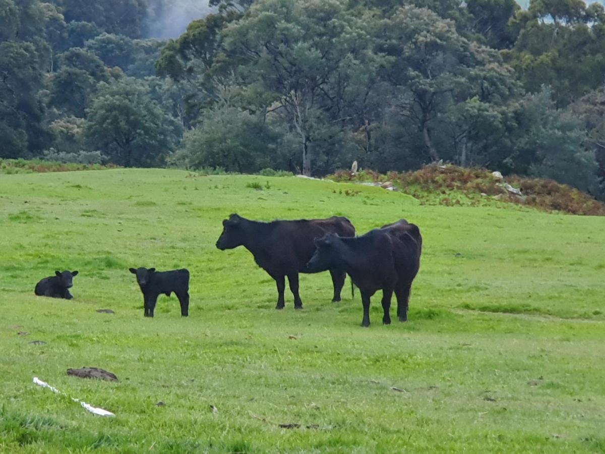 Ruby's Farm Farm stay